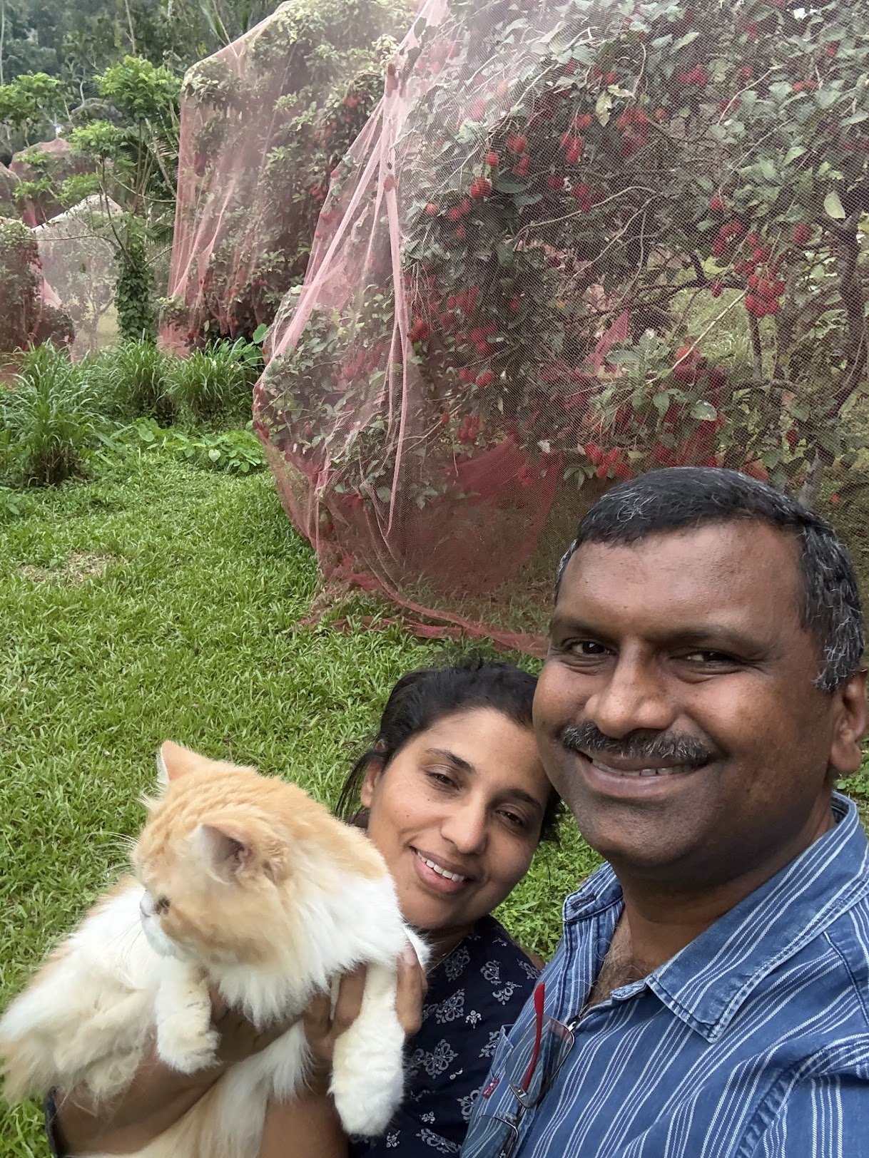 Kurian and Sandhya with Luca the cat, the rambutan trees behind them netted against birds and bats